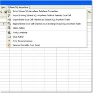 Excel Sybase Anywhere Import, Export & Convert Sof screenshot